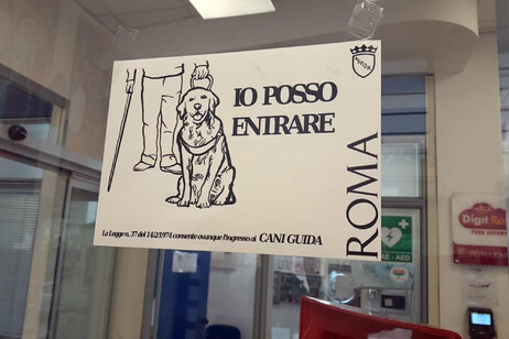 La campaña para que personas no videntes ingresen con sus perros a las oficinas públicas.