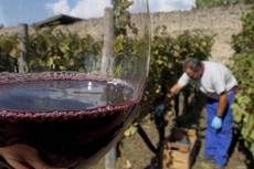 Vino, rossi toscani al top dell'export