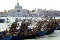 LETTA MOOTS ISLAMIC MUSEUM ON VENICE GRAND CANAL