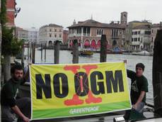 Greenpeace: presidio a Venezia, No a Ogm