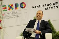 Govt doesn't need Berlusconi's support for reforms - Alfano