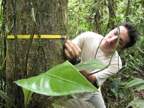 Parque Nacional Yasuni, en Ecuador  (ANSA). 