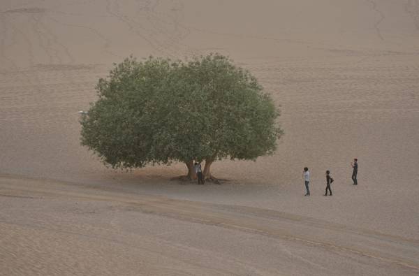 Italia ad alto rischio desertificazione