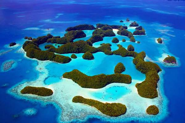 L'arcipelago di Palau diventerà un santuario marino (Foto: The Pew Charitable Trusts)