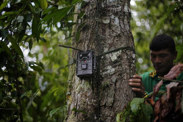 Greenpeace aiuta indigeni a difendere l'Amazzonia con Gps