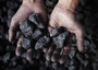 Futuro senza carbone entro 2100, piano Banca Mondiale