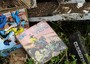 Giocattoli, fotografie, libri: pezzi di vita nella discarica a Isticaneddu