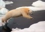 Per l'Artico una boccata d'aria fresca nel 2013
