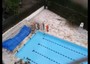 Un coccodrillo finisce in piscina a Rio