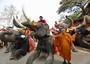 Un monaco buddista thailandese benedice elefanti e conducenti di elefanti