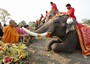 Monaco buddista thailandese nutre di frutta e verdura gli elefanti