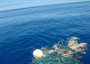 Plastiche in mare, progetto Marina militare e università