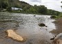 Emergenza ambientale Colorado, rifiuti minerari in fiume