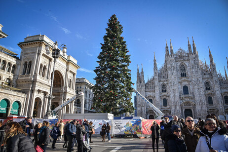 Arbol de Navidad en piazza Duomo (ANSA)