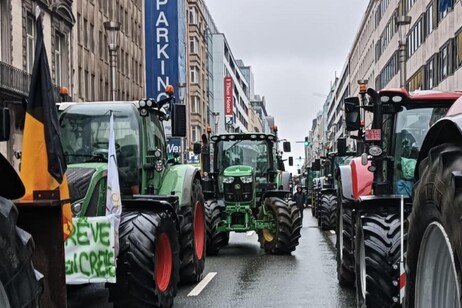 Otra vez los tractores sobre Bruselas, el agro sigue en pie de guerra