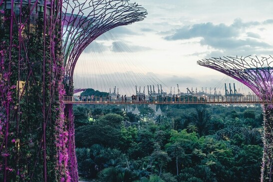 El Super Tree of Singapore, joya de la tecnología de protección ambiental @Annie Spratt Unsplash