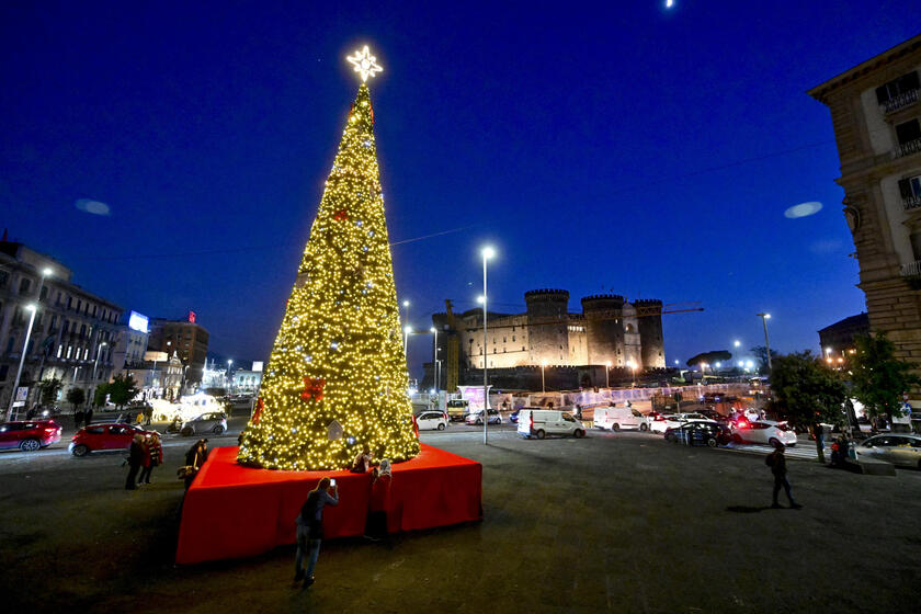 Arbol de Navidad en Plaza Municipio, en Nápoles (ANSA)