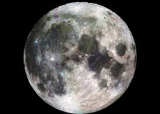 Luna nata 100 mln dopo Sistema Solare