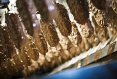 Progetto Ue in Piemonte usa scarti dolci per eco-imballaggi