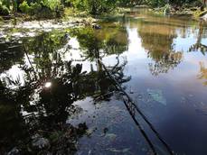 Isole Salomone: inondazioni, 23 morti